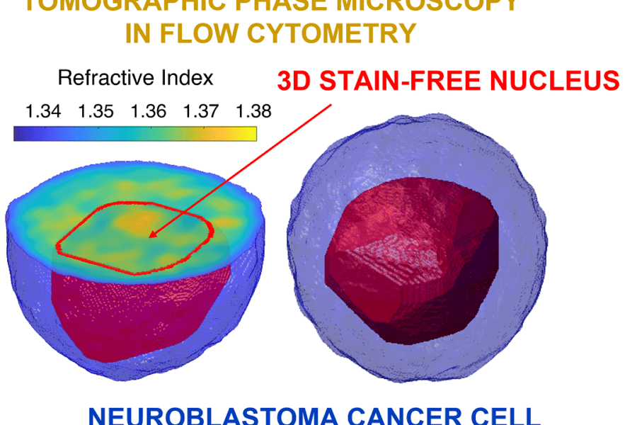 Tumori, arrivano le cellule in 3D: da Napoli l’innovativa tecnica che apre nuove strade per diagnosi precoci e cure