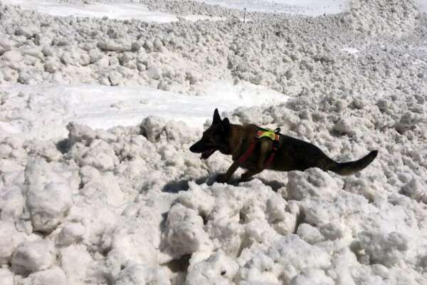 Soccorso Alpino in azione per le ricerche dei dispersi Soccorso Alpino in azione per le ricerche dei dispersi