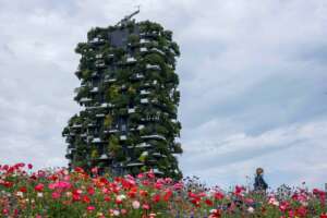 Casa, stretta green europea: chi sarà obbligato a fare i lavori e quali, dalle caldaie agli infissi