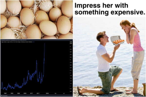 Perché il prezzo delle uova è salito alle stelle in Usa e Europa: dall’aumento dei costi dell’energia all’aviaria