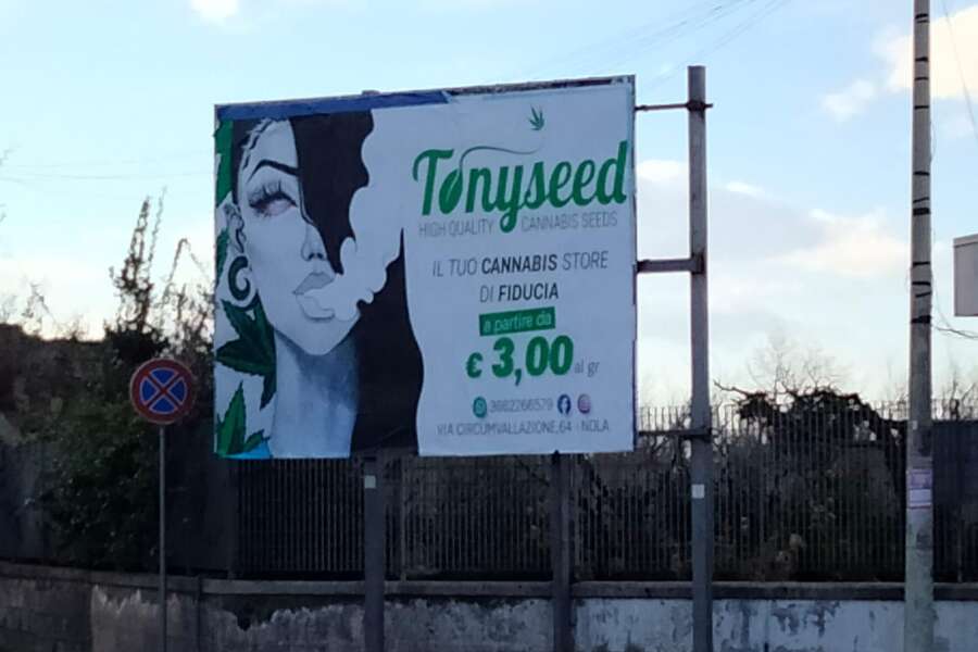La Lega contro la pubblicità della Cannabis legale fuori scuola: “Messaggio equivoco e diseducativo”