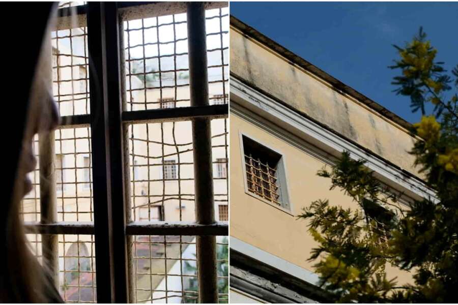 Orecchini A Forma Di Bradipo In Argento 925 – Ipoallergenici, Regalo Per Donna, Madre E Figlia