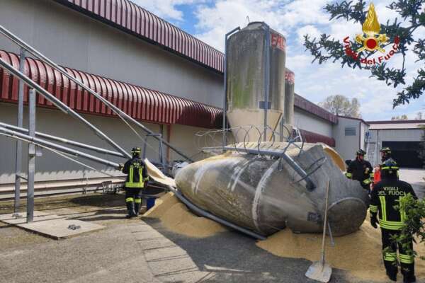 Auto schiacciata da silos di mangimi, tragedia in azienda: morti tre fratellini di 18, 13 e 10 anni Auto schiacciata da silos di mangimi, tragedia in azienda: morti tre fratellini di 18, 13 e 10 anni