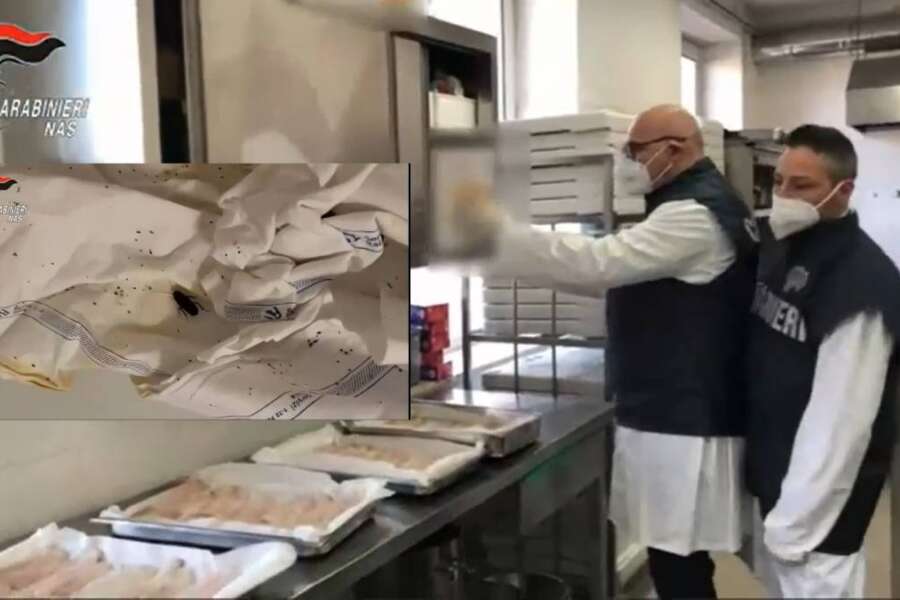 Escrementi, insetti e muffe: chiuse sette cucine in ospedali dopo il blitz dei Nas