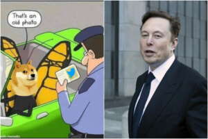 Cos’è Dogecoin, la criptovaluta col ‘volto’ di un cane finita al posto del logo di Twitter