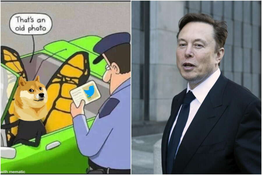 Cos’è Dogecoin, la criptovaluta col ‘volto’ di un cane finita al posto del logo di Twitter