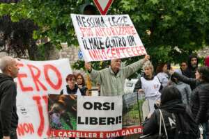 Trento, il Tar sospende l’abbattimento degli orsi JJ4 e MJ5: “Pericolosità non accertata, possibilità di trasferimento concrete”