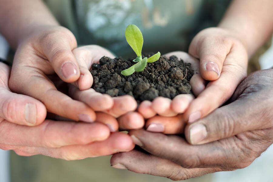 Nel cuore della Dop economy italiana c’è la certificazione CSQA. Il sistema di garanzia presentato da Chiara Ferrarese