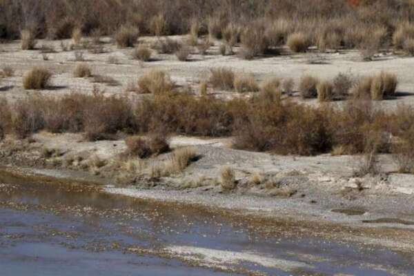Almeno 3 vittime in una sparatoria al confine Iran-Afghanistan