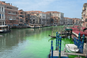 Chiazza verde fosforescente compare sul Canal Grande a Venezia