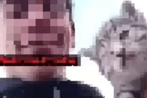 Orrore ad Avellino, getta un gatto malato in un dirupo e condivide il video su TikTok