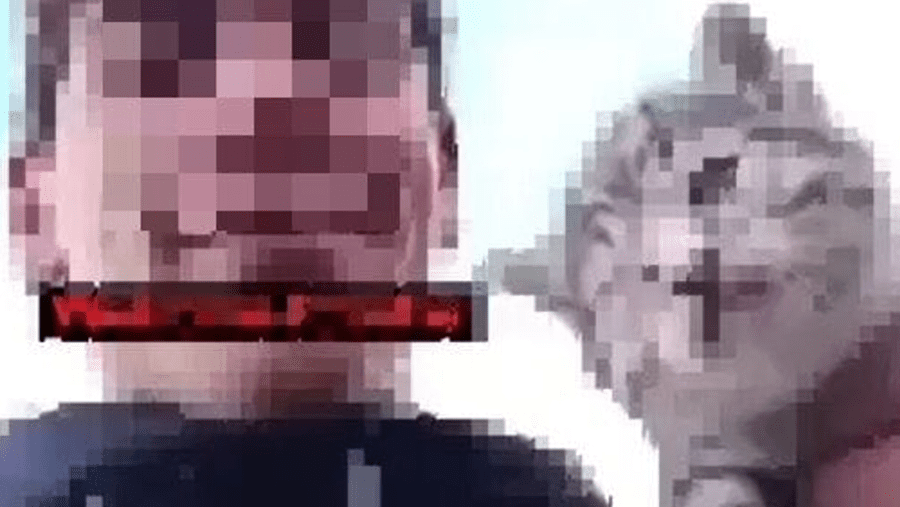 Orrore ad Avellino, getta un gatto malato in un dirupo e condivide il video su TikTok