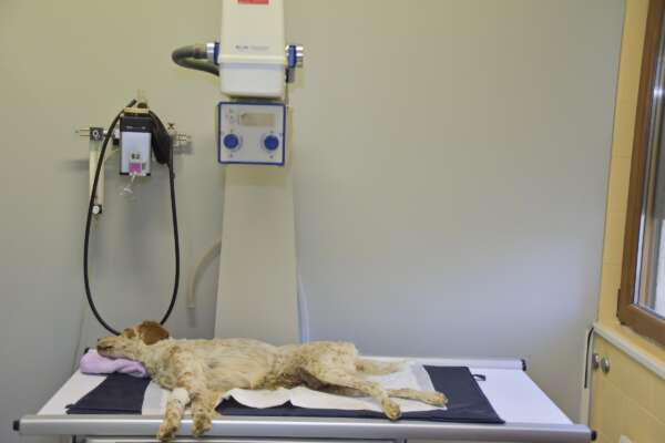 Foto Tiziano Manzoni/LaPresse Foto Tiziano Manzoni/LaPresse