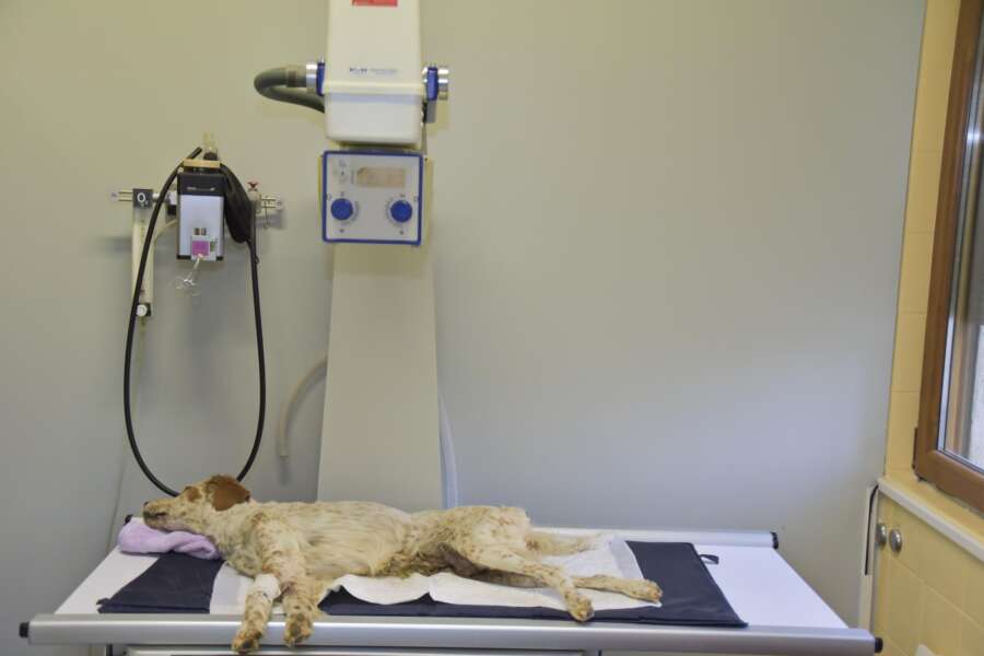 Foto Tiziano Manzoni/LaPresse