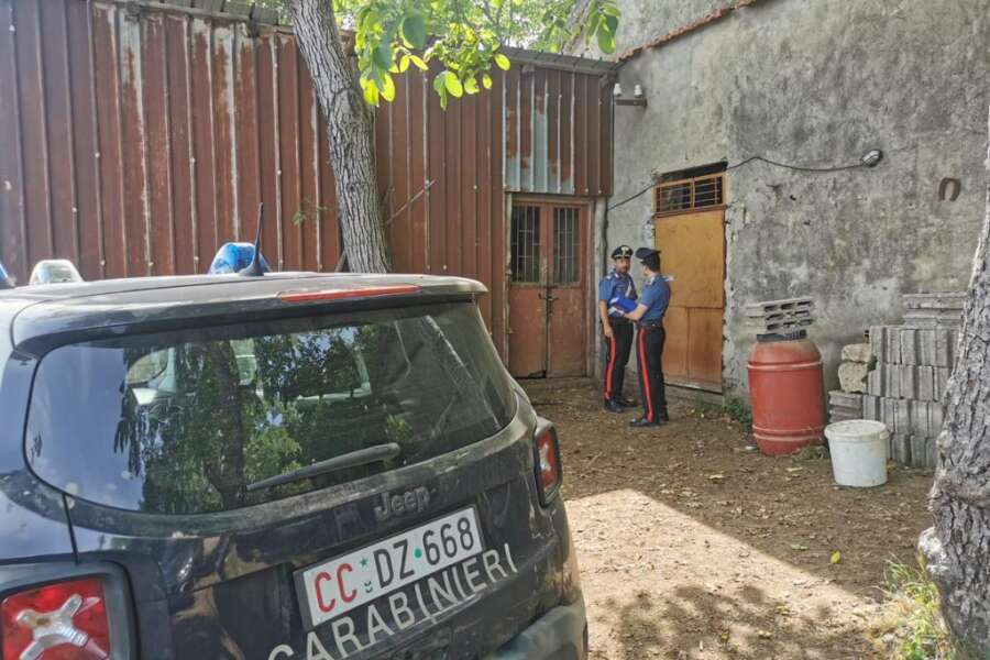 Muore a 12 anni dopo caduta durante escursione in sentiero, dramma nel Napoletano: “Era su un asino”