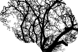 L’impresa della Carità nella cura dei pazienti psichiatrici autori di reato