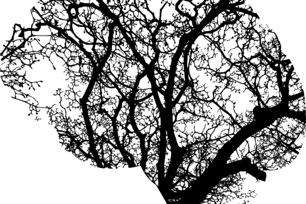 L’impresa della Carità nella cura dei pazienti psichiatrici autori di reato