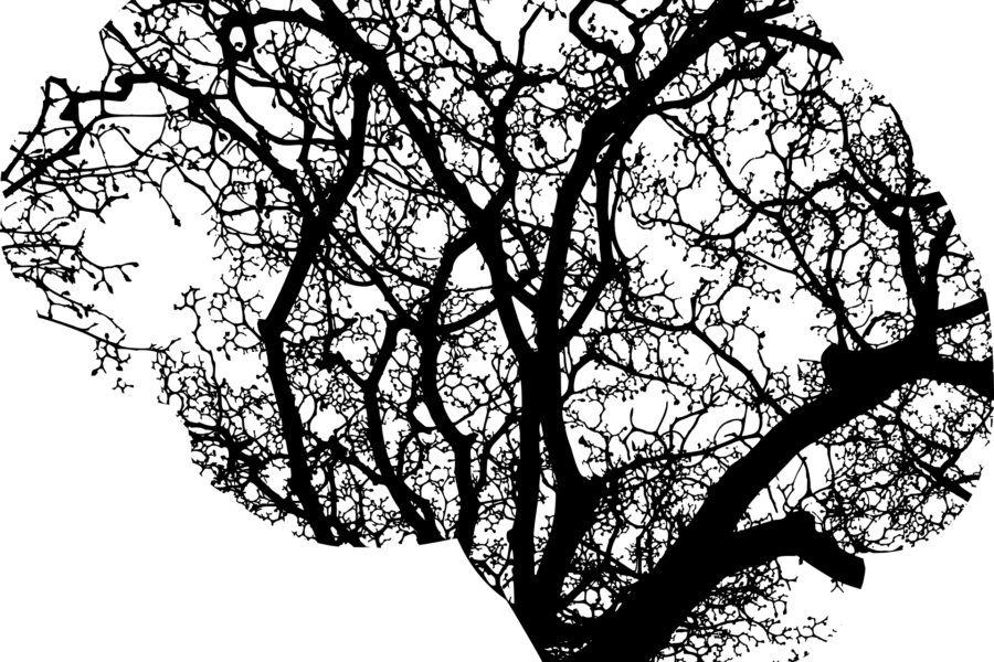 L’impresa della Carità nella cura dei pazienti psichiatrici autori di reato