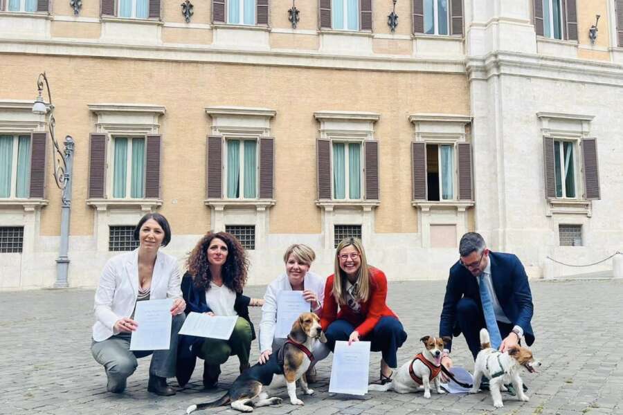 Riconoscimento giuridico della figura del toelettatore: affidiamo gli amici a 4 zampe a veri professionisti