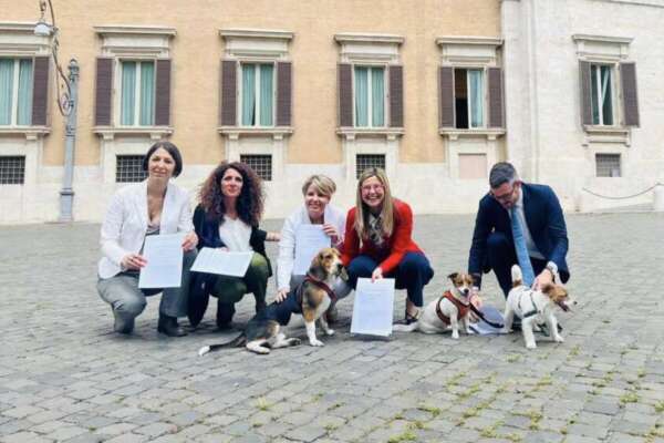 Riconoscimento giuridico della figura del toelettatore: affidiamo gli amici a 4 zampe a veri professionisti Riconoscimento giuridico della figura del toelettatore: affidiamo gli amici a 4 zampe a veri professionisti