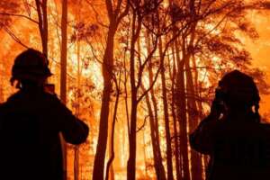 Incendi, il folle gioco dei piromani “è il volto celato dietro la catastrofe”. Appiccano il fuoco e restano a guardare Incendi, il folle gioco dei piromani “è il volto celato dietro la catastrofe”. Appiccano il fuoco e restano a guardare