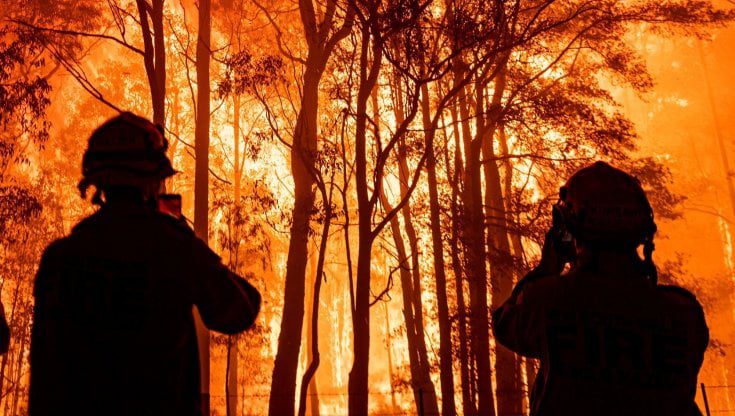 Incendi, il folle gioco dei piromani “è il volto celato dietro la catastrofe”. Appiccano il fuoco e restano a guardare