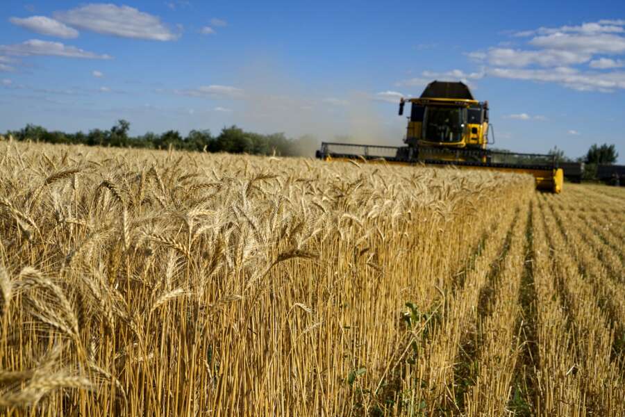 Cosa c’è dietro lo stop del grano: calcoli politici e propaganda