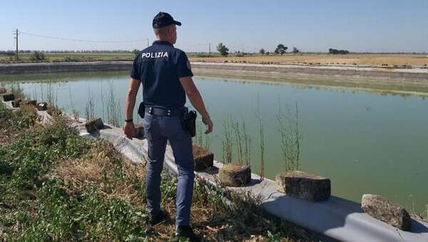 Foggia, Manfredonia: “Giocavano davanti casa, si sono allontanati inseguendo una rana e forse sono scivolati”. I corpi dei due fratellini in una vasca di irrigazione: “In casa dormivano tutti” Foggia, Manfredonia: “Giocavano davanti casa, si sono allontanati inseguendo una rana e forse sono scivolati”. I corpi dei due fratellini in una vasca di irrigazione: “In casa dormivano tutti”