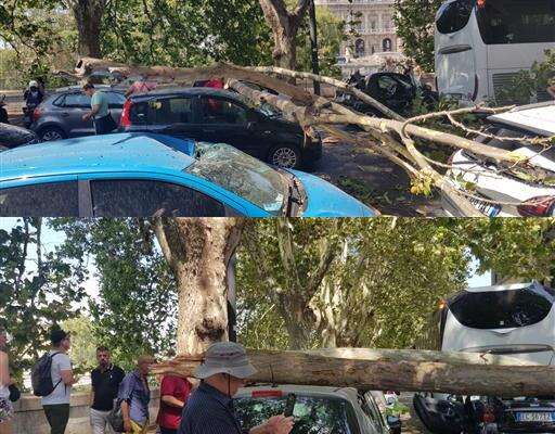 Foto Agenzia Dire Foto Agenzia Dire