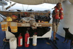 Messico, marinaio salvato con il suo cane dopo due mesi alla deriva nell’Oceano Pacifico: appena scende dalla barca decide di sbarazzarsi dell’animale