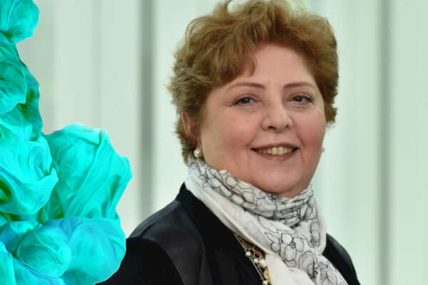 La lobby spiegata dal punto di vista degli elefanti