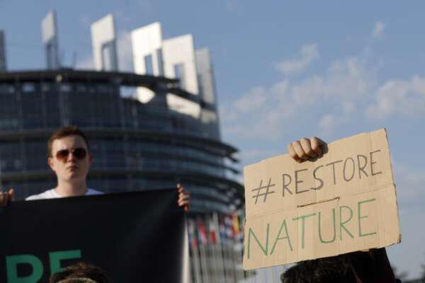 Nature Restoration Law, cos’è la legge europea sul ripristino della natura