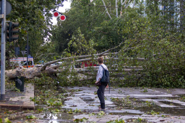 Maltempo in Lombardia, allerta arancione e parchi chiusi: “Non sostate sotto gli alberi”