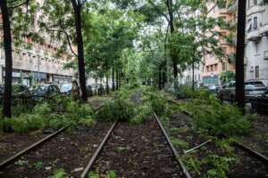 Maltempo a Milano, forti precipitazioni, alberi cadono in strada. Tromba d’aria nel Varesotto
