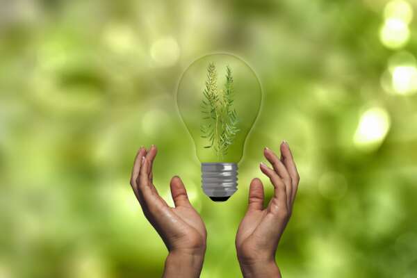 Perché la transizione ecologica dovrà essere graduale e gli appelli al “fate presto” sono solo terrorizzanti