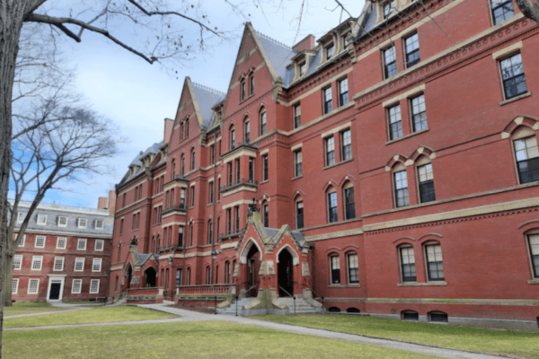 Harvard, Trump blocca l’iscrizione di studenti stranieri, l’università gli fa causa. Quando l’ideologia MAGA demolisce i valori americani Harvard, Trump blocca l’iscrizione di studenti stranieri, l’università gli fa causa. Quando l’ideologia MAGA demolisce i valori americani