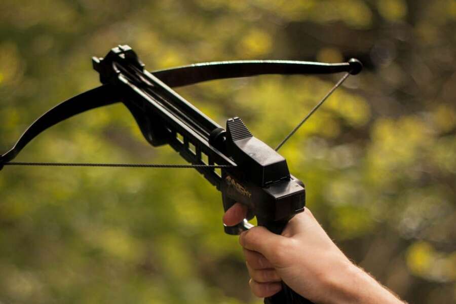 Provò ad uccidere la Regina Elisabetta con una balestra. A spingerlo la sua fidanzata: “Fai quello che devi, mi piacciono gli assassini. Ho fede in te” | Ma lei non esiste