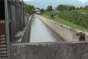 Mareno di Piave, cadavere decapitato in decomposizione affiora da un canale. Giallo risolto: è di Aninca Dota, scomparsa nel 2020