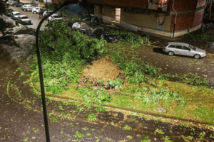 Milano, violento nubifragio nella notte: “un’apocalisse”. Linee Atm bloccate, caos viabilità e allagamenti in città Milano, violento nubifragio nella notte: “un’apocalisse”. Linee Atm bloccate, caos viabilità e allagamenti in città