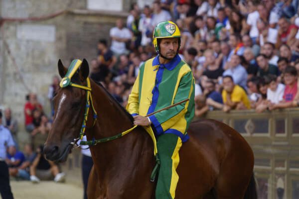 Foto Alessandro La Rocca/LaPresse
16-08-2019, Piazza del Campo- Siena
Cronaca
Palio Madonna dell’Assunta -Siena -2019
in the Photo: Schietta Cavalladella contrada del Bruco con il fantino Andrea Mari detto Brio

Photo Alessandro La Rocca/ LaPresse
2019 16 August -Piazza del Campo -Siena- Tuscany, Italy
News
Palio Madonna dell’Assunta -Siena -2019
in the photo: Schietta Cavalladella contrada del Bruco con il fantino Andrea Mari detto Brio