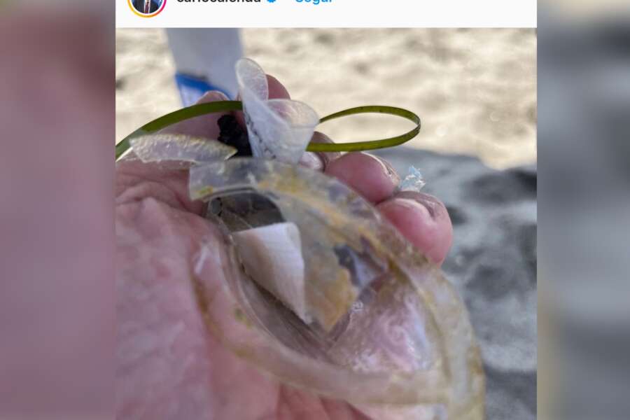 A Capalbio Calenda in vacanza litiga anche col Sindaco