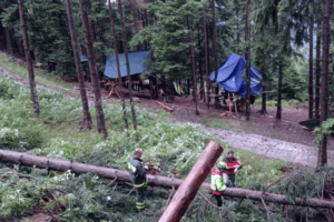 Brescia, la tragedia: per il maltempo muore una 16enne in un campo scout, travolta dalla caduta di un albero
