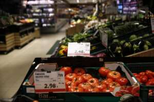 Social Card: “No, il governo tende a modelli statalisti e si basa su una concezione paternalista”