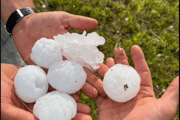 Maltempo in Veneto, 350 chiamate nella notte ai vigili del fuoco. Chicchi di grandine grandi quanto palle da tennis
