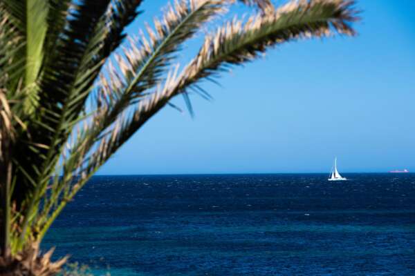La Sardegna cerca turisti last minute: crollano i prezzi di aerei e traghetti rispetto a giugno. E i viaggiatori previdenti storcono il naso