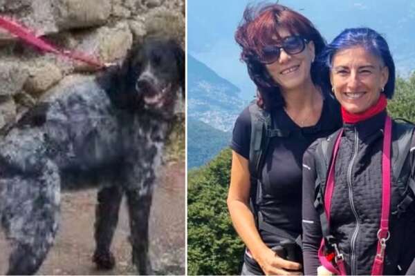 Sondrio, due donne trovate morte nel torrente Fellaria: si erano tuffate per salvare il loro cane