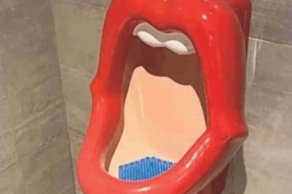 Torino, è bufera sui social per gli orinatoi a forma di bocca di donna in una palestra