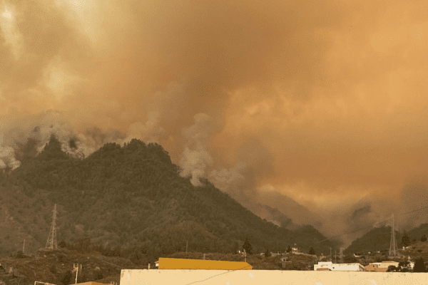 Maxi incendio a Tenerife, oltre 12 mila evacuati. Devastata l’isola spagnola