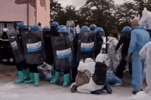 Pavia, scontri tra polizia e attivisti per irruzione nel rifugio di Sairano: abbattere i maiali con la peste suina africana Pavia, scontri tra polizia e attivisti per irruzione nel rifugio di Sairano: abbattere i maiali con la peste suina africana