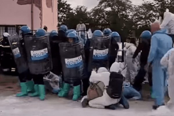 Pavia, scontri tra polizia e attivisti per irruzione nel rifugio di Sairano: abbattere i maiali con la peste suina africana